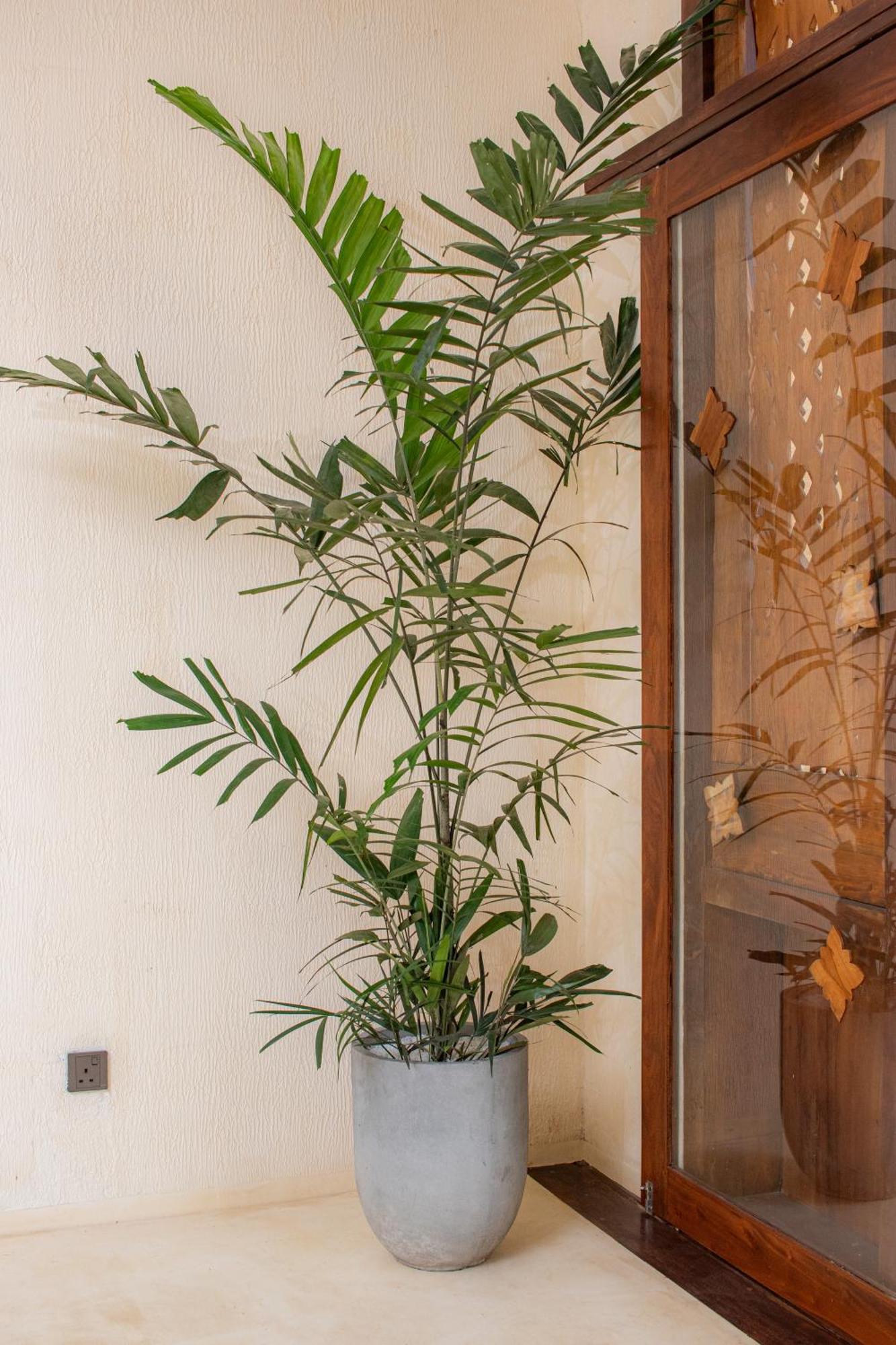Spicepeek Boutique Hotel Cmb Airport Katunayaka Exterior photo